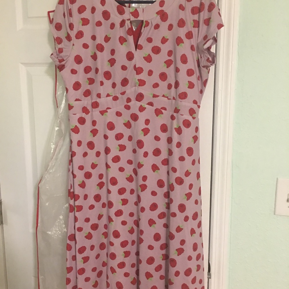Lindy Bop raspberry print NWT